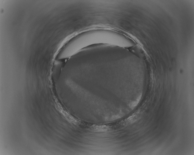 X0000081361168200702020133