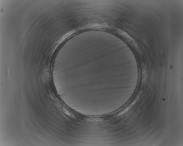 X0000081361170200702020133