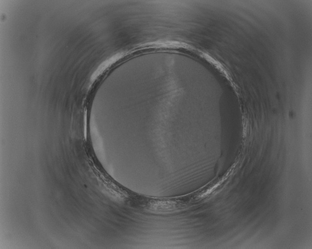 X0000081361171200702020133