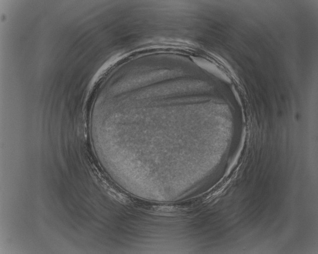 X0000081361172200702020132