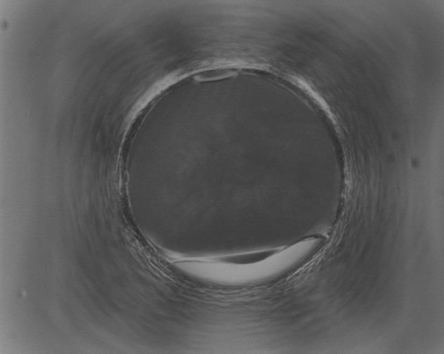 X0000081361173200702020132