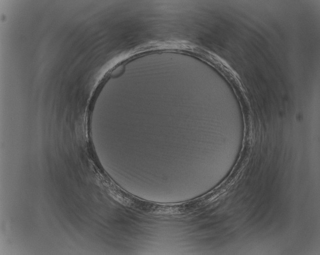 X0000081361174200702020132