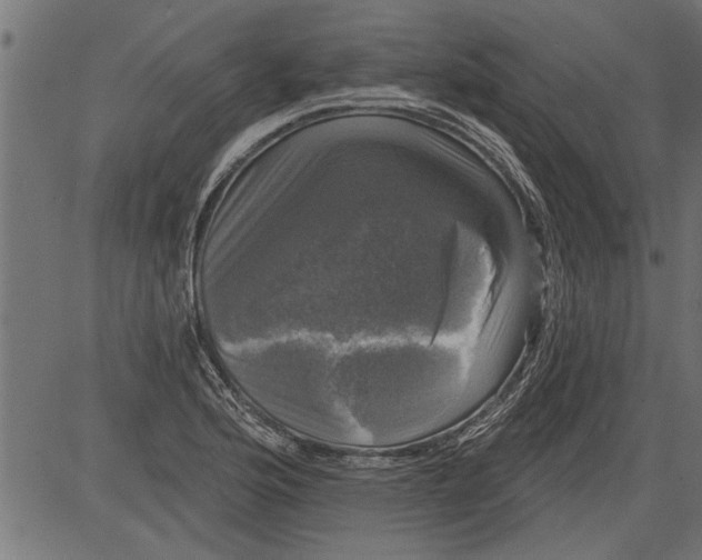 X0000081361176200702020132