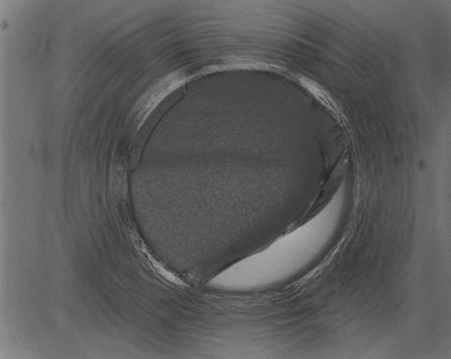 X0000081361177200702020132