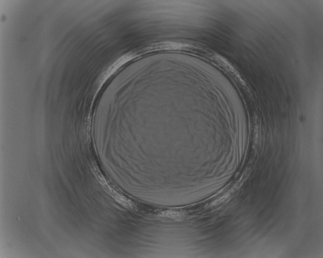 X0000081361178200702020132