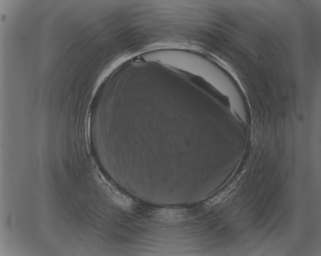 X0000081361179200702020132