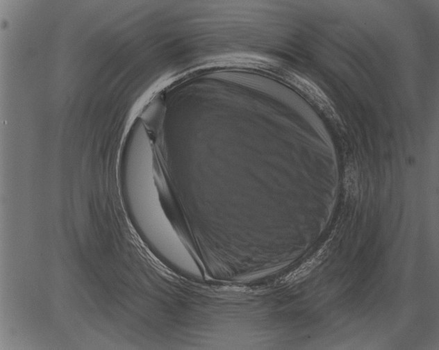 X0000081361180200702020132