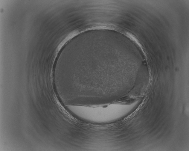 X0000081361181200702020132