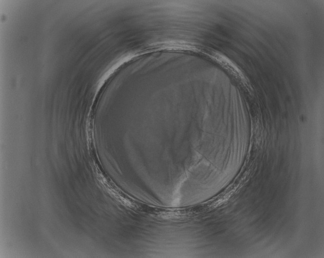 X0000081361182200702020132