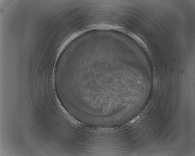 X0000081361183200702020132