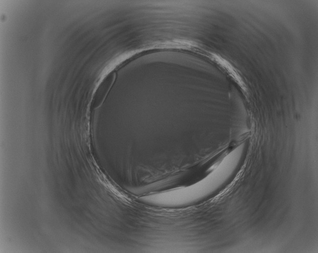 X0000081361184200702020132