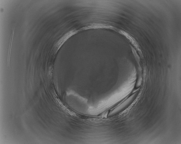 X0000081361185200702020132