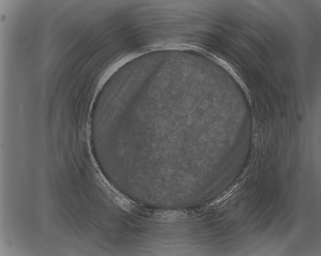 X0000081361187200702020132