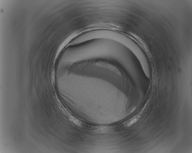 X0000081361188200702020132