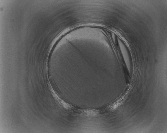 X0000081361189200702020132