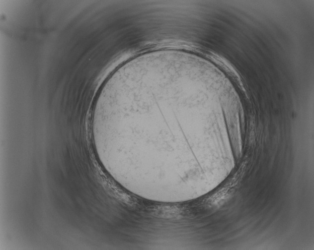 X0000081361190200702020132