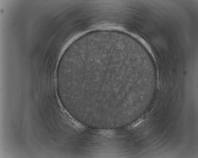 X0000081361191200702020132