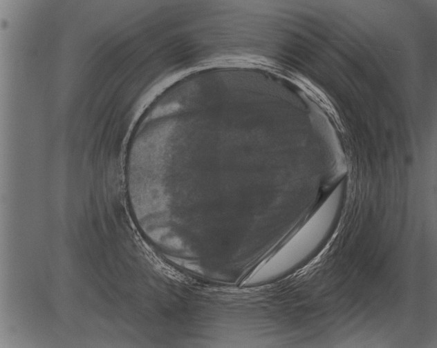 X0000081361192200702020132