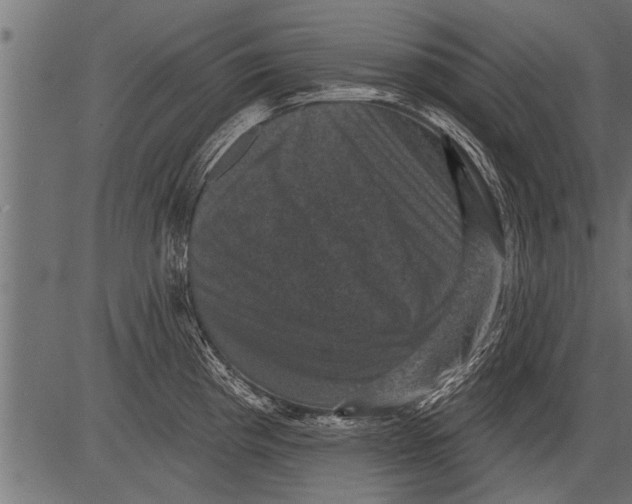 X0000081361193200702020132