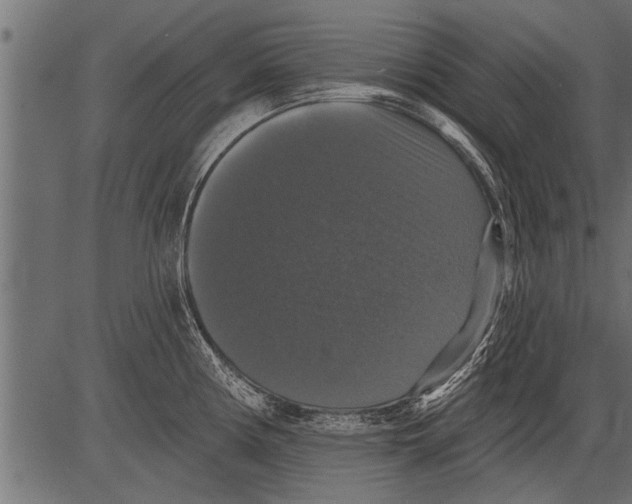 X0000081361194200702020132