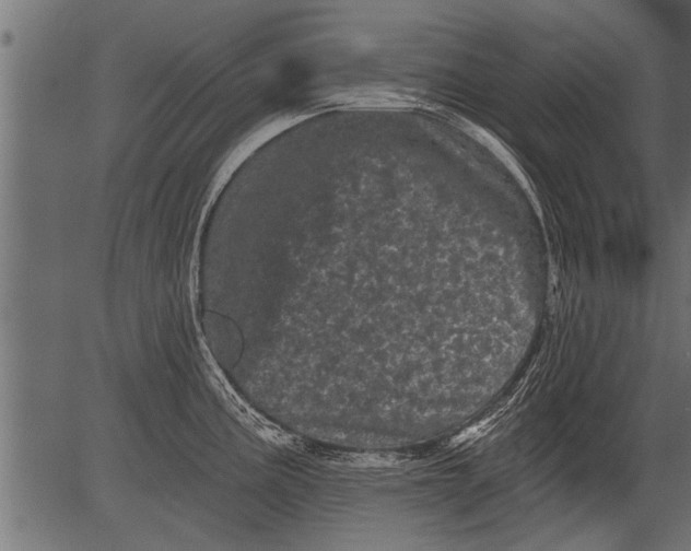 X0000081361195200702020132