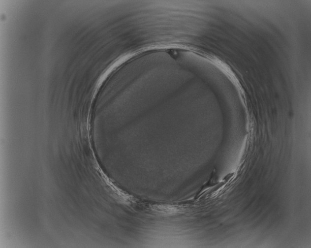 X0000081361197200702020132