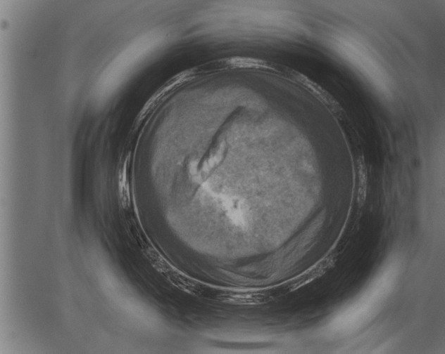 X0000081361198200702020132