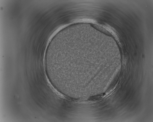 X0000081361199200702020132