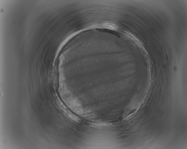 X0000081361200200702020132