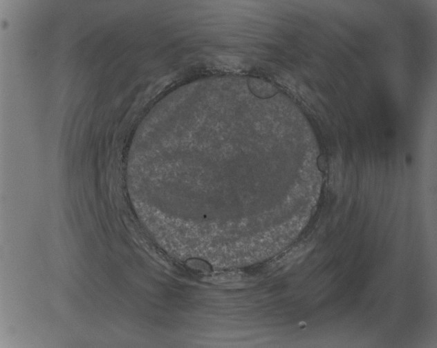 X0000081361201200702020131