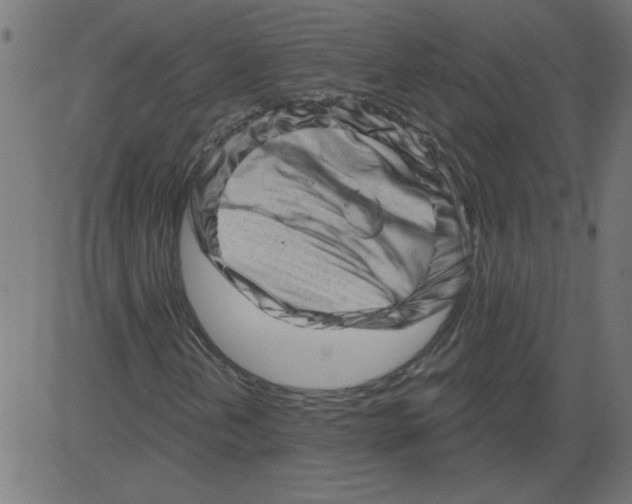 X0000081361202200702020131