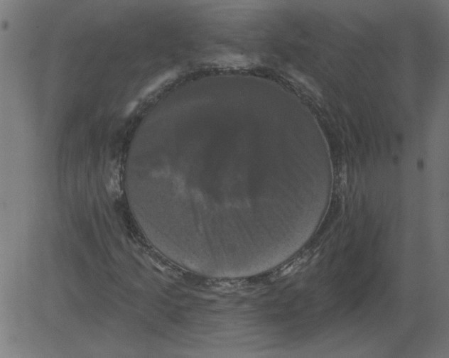 X0000081361205200702020131