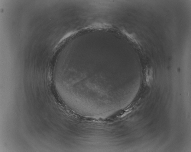 X0000081361206200702020131