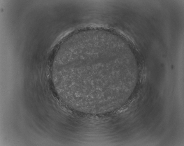 X0000081361207200702020131