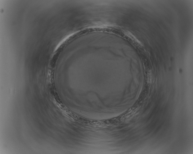 X0000081361208200702020131