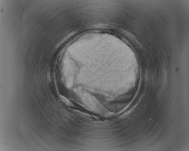 X0000081361209200702020131