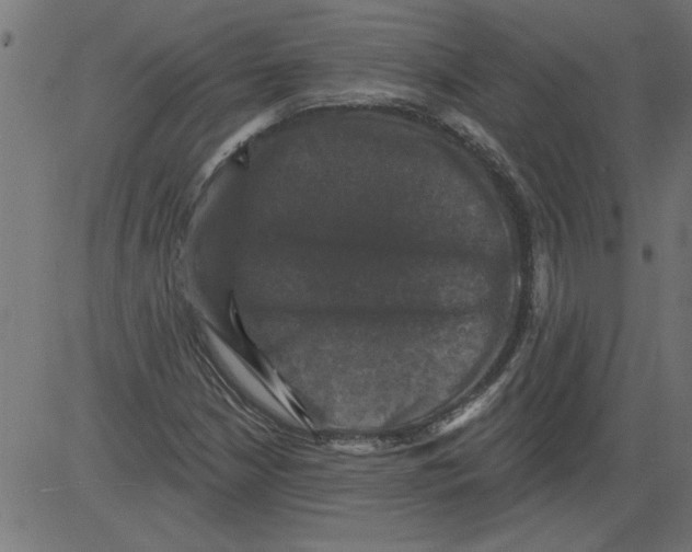 X0000081361210200702020131