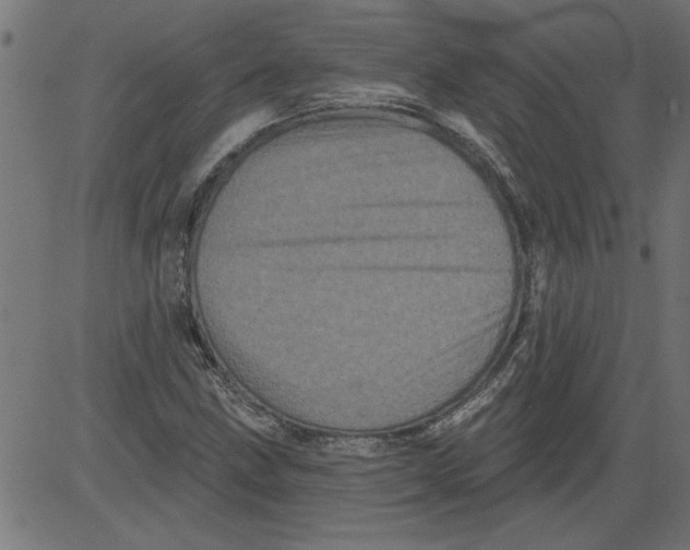 X0000081361211200702020131