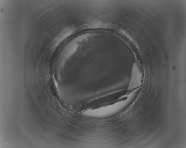 X0000081361213200702020131