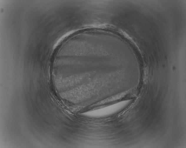 X0000081361214200702020131