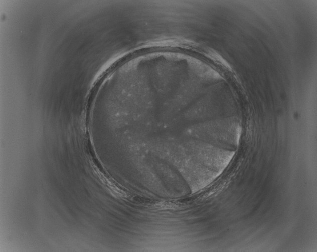 X0000081361216200702020132