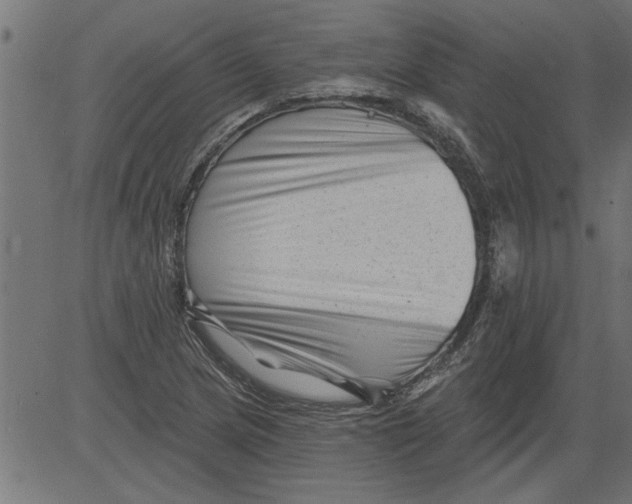 X0000081361217200702020132