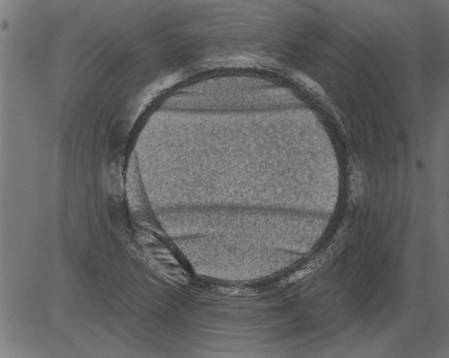 X0000081361218200702020132