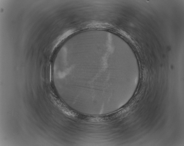 X0000081361219200702020132