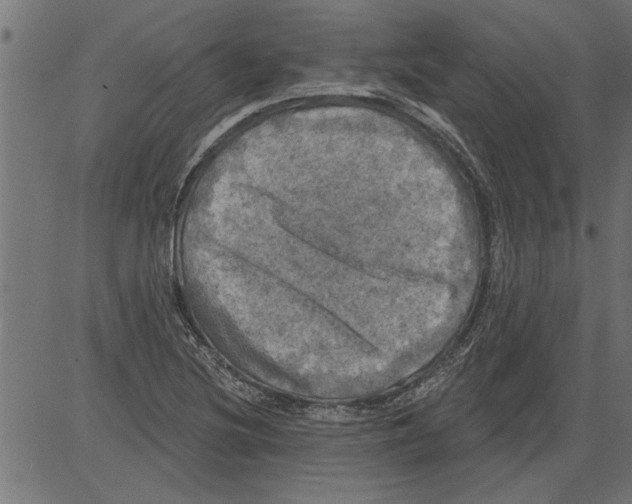 X0000081361220200702020132