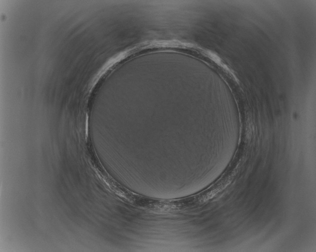 X0000081361221200702020132