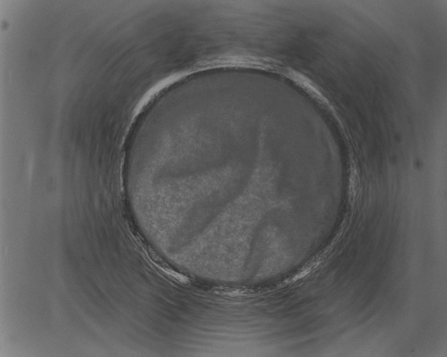 X0000081361222200702020132