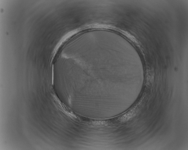 X0000081361223200702020132