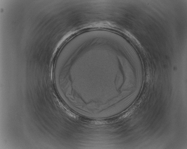 X0000081361224200702020132