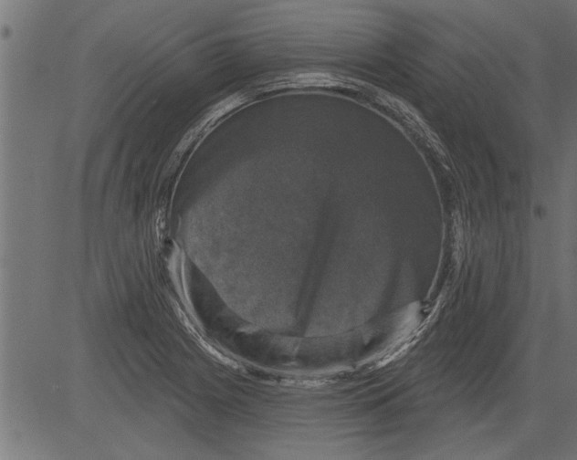 X0000081361225200702020132